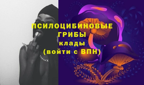 мяу мяу мука Алзамай