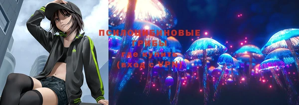 apvp Алексин