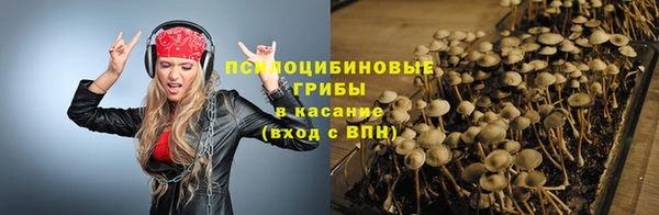 мяу мяу мука Алзамай