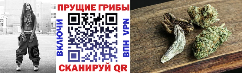 Галлюциногенные грибы ЛСД Шатура