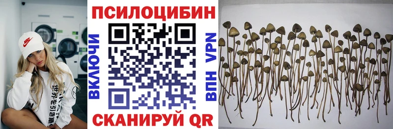 Псилоцибиновые грибы Psilocybine cubensis  Шатура 